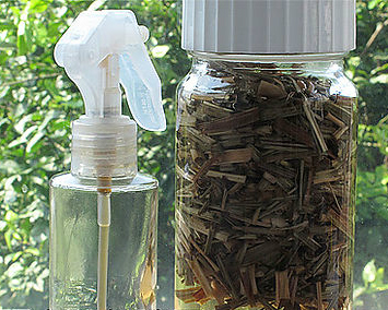 天然防蚊妙招～檸檬香茅驅蟲噴霧DIY