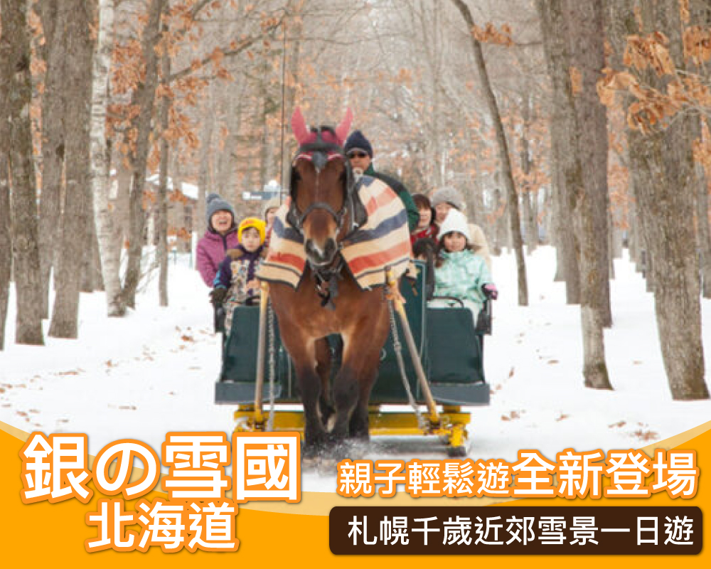 [日本輕鬆遊 北海道] 銀の雪國 札幌千歲近郊雪景一日遊