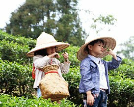 文青小農養成計畫，「樂農」輕旅行讓孩子親近大自然～