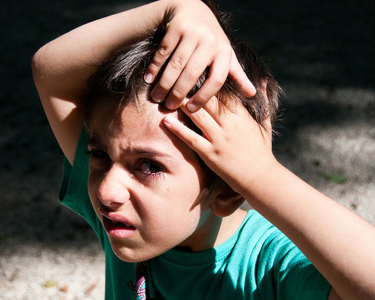 大樹叔叔的教養課：小小孩被動手了怎麼辦？不可不知3步驟