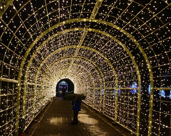 【日本京都燈雪節～天空之森連繫光之環～】穿梭光之廊！2015/10/31~2016/04/03