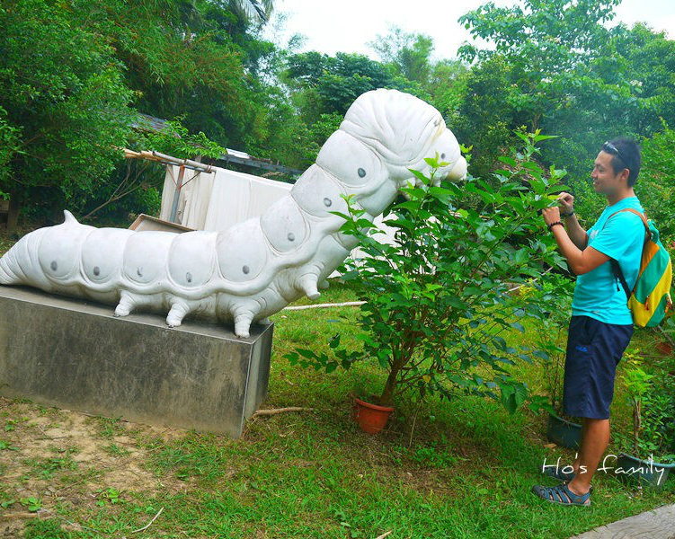蠶寶寶的家！全台唯一蠶寶寶專屬農場～泉明生態教育蠶業農場