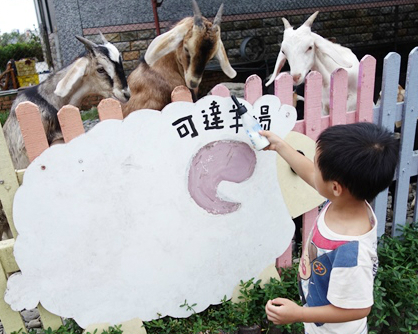 免門票餵小動物，室內空間下雨也不怕～宜蘭可達休閒羊場