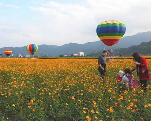 【三星花海嘉年華】徜徉在一片片黃色花海中，與熱氣球合影2014.12.16~2015.01.04