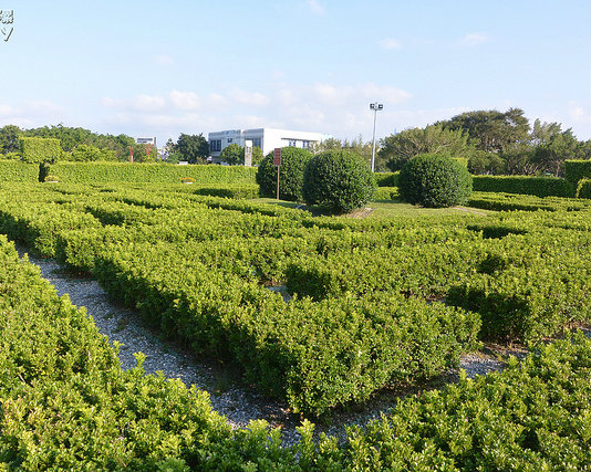 迷宮花園的探險～台北新生公園