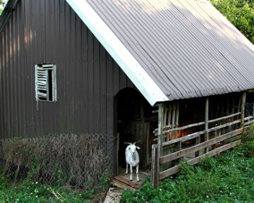通宵圓山農場