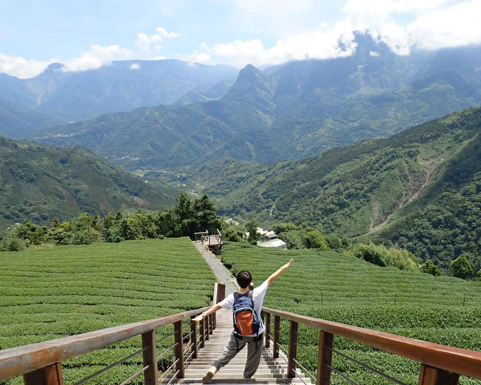 走進茶園畫布中，望大象、看群山～嘉義花石溪步道、巃仔尾步道
