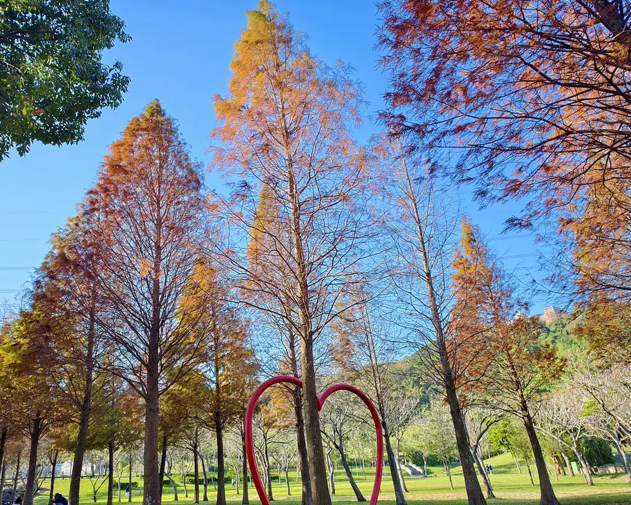 落羽松×大綠地，野餐也好與寵物同樂也好～桃園大溪河濱公園