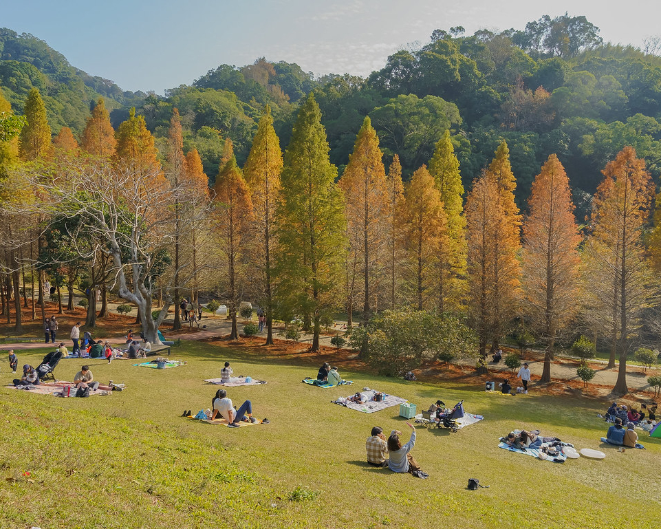 草地上盡情打滾，週末來場愜意野餐～新竹小森之歌