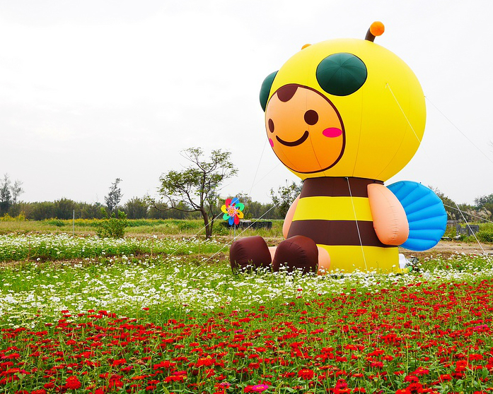【2016桃園花彩節大園場】百頃花田繽紛綻放！2016/11/19~2016/11/27