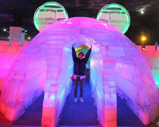 【台中酷夏の冰雪祭】勇闖北國極地探險，夏日就來冰雕館消暑吧！2015.6.19~2015.09.28
