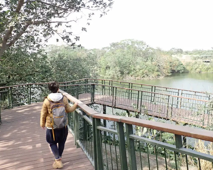 保安林地重新改造，獨特沙質步道體驗～雲林二崙自然步道＋四番地生態水岸園區