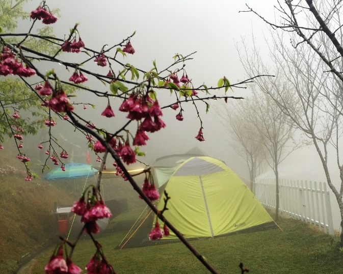 雲霧飄渺，有如夢幻仙境的山林體驗～新竹清心忘憂露營區