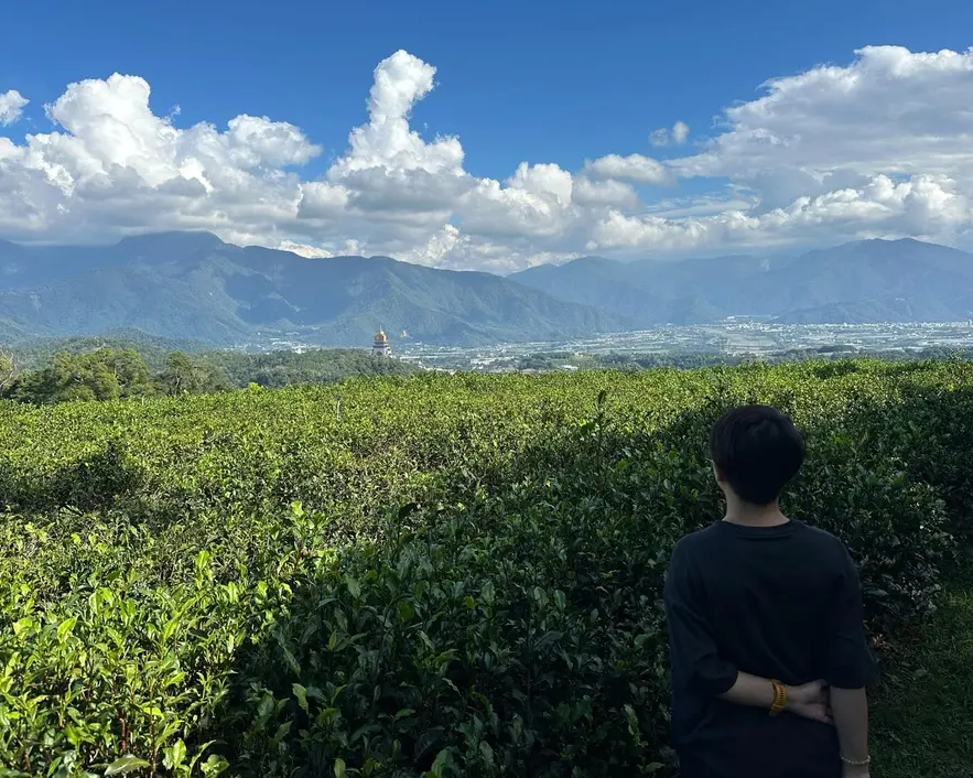 路線親民，登頂茶園景觀台一覽美景～南投恩主公步道
