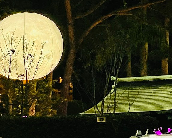 【元宇宙光影藝術祭@桃園神社】 2022/03/20~2022/05/01