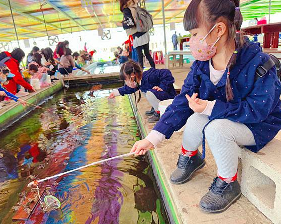 釣蝦樂、拔菜趣，一日農夫體驗～桃園陽榮生態農場
