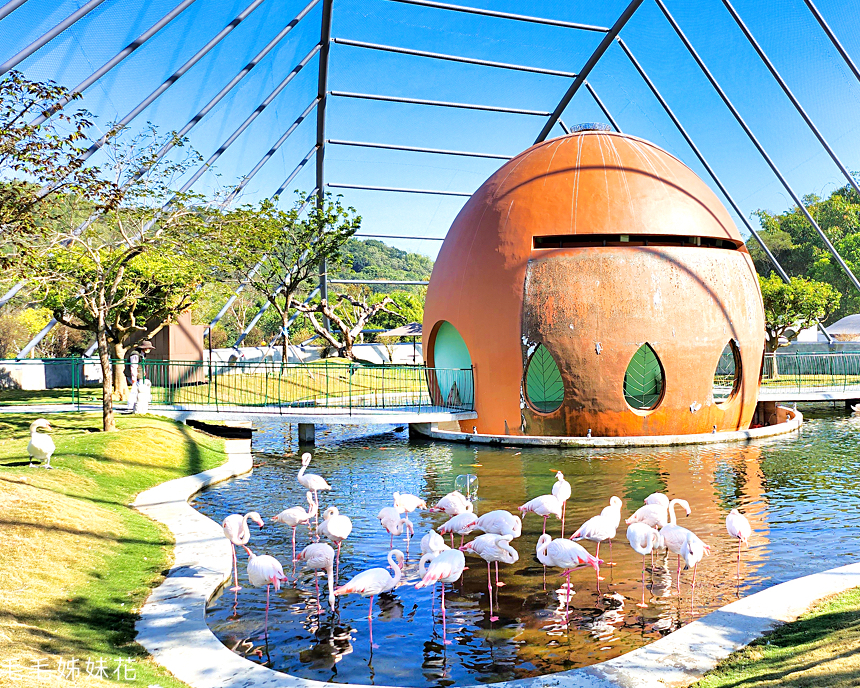 鳥類大觀園，走進巨大天幕鳥籠零距離接觸～南投九九峰動物樂園