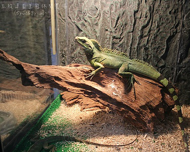 準園休閒農場